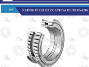 SL045005 PP-2NR INA CYLINDRICAL ROLLER BEARING