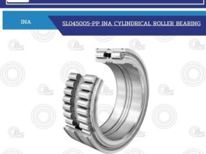 SL045005-PP INA CYLINDRICAL ROLLER BEARING
