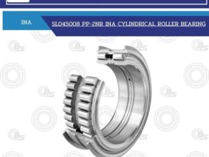 SL045008 PP-2NR INA CYLINDRICAL ROLLER BEARING
