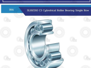 SL192310 C3 INA Cylindrical Roller Bearing Single Row