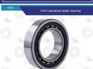 FAG cylindrical roller bearing shown at an angle with inner and outer rings and rollers, branding visible for machinery use