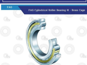 3D rendering of a FAG cylindrical roller bearing M with brass cage on a white background with blue header banners.