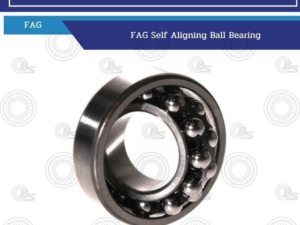 FAG self-aligning ball bearing, close-up photograph showing the inner and outer races with rolling balls, chrome finish.