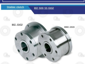Two shiny metal bearing clutches viewed at an angle, labeled RIZ..G1G2 and RINZ..G5G5, with bolt holes visible on each hub for a machinery component.